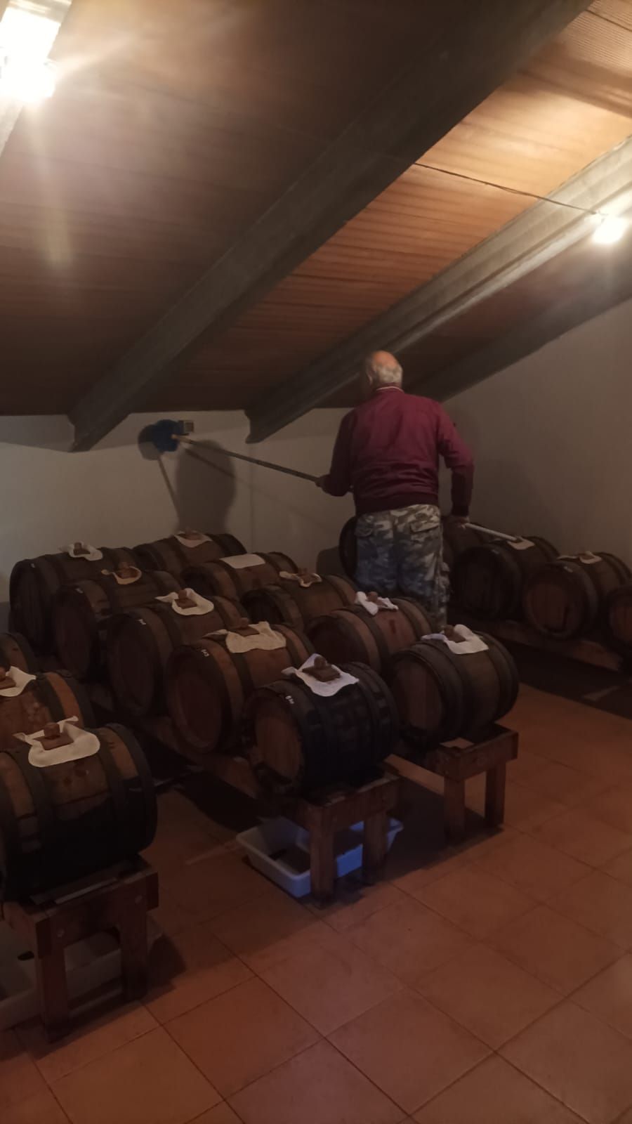 Cantina vinicola con file di botti e una persona in piedi in fondo, sotto un soffitto di legno inclinato.