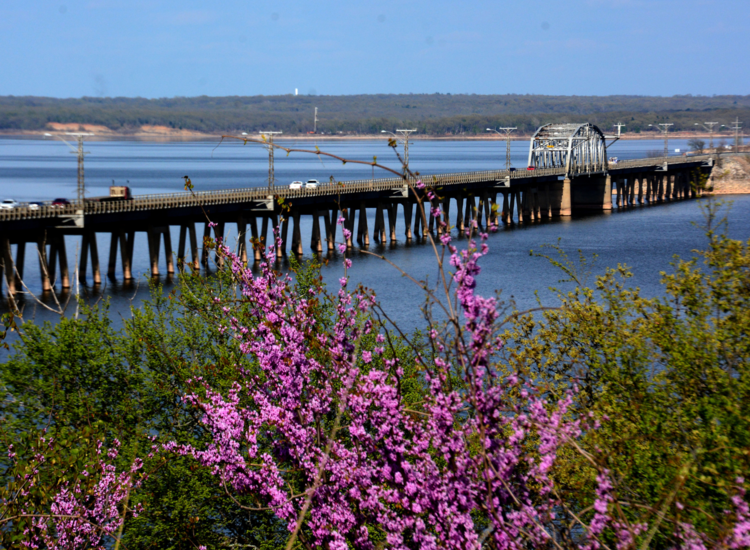 A bridge over a body of water with purple flowers in the foreground