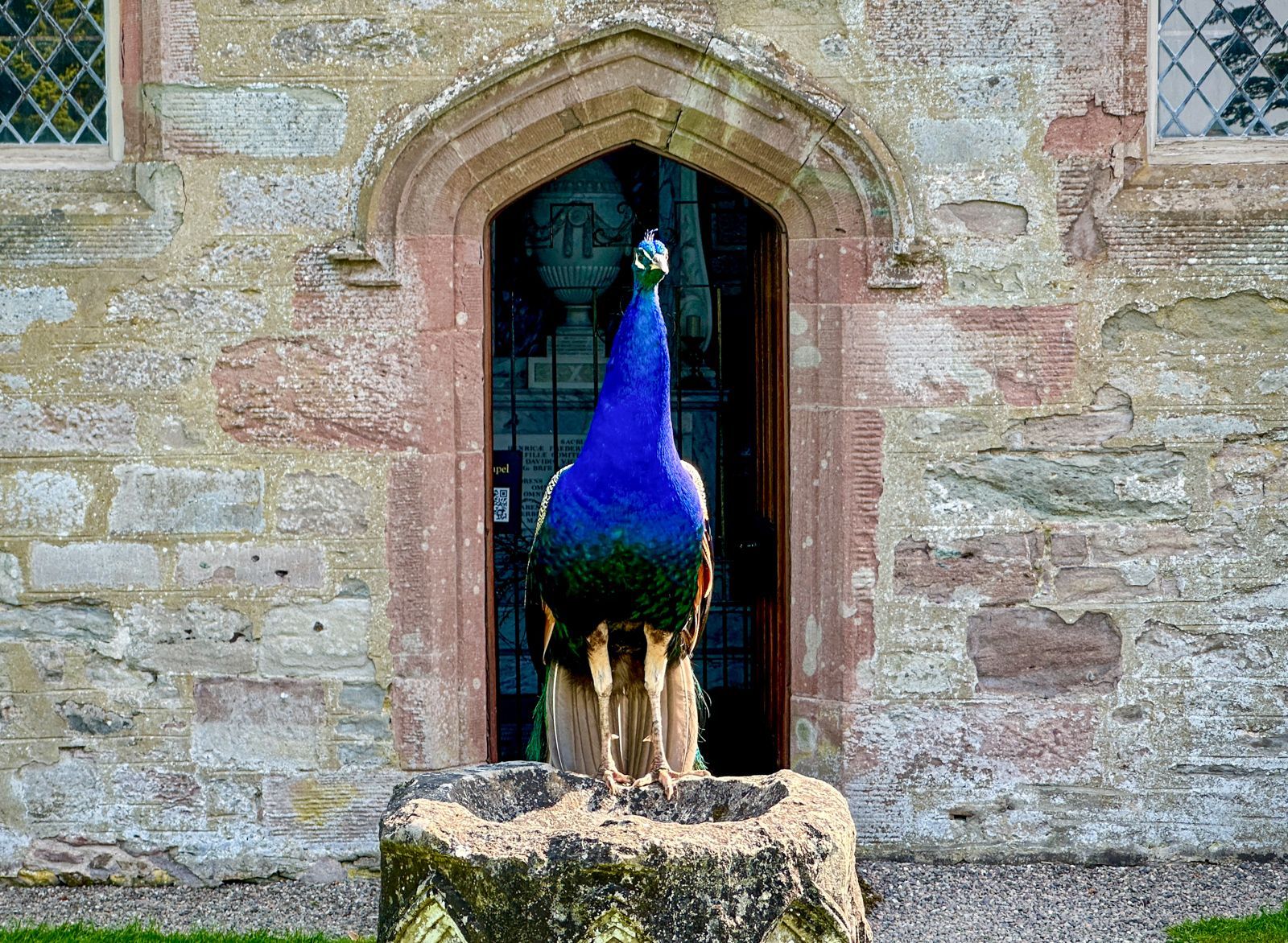 Visit Scotland and take a private guided tour to Scone Palace