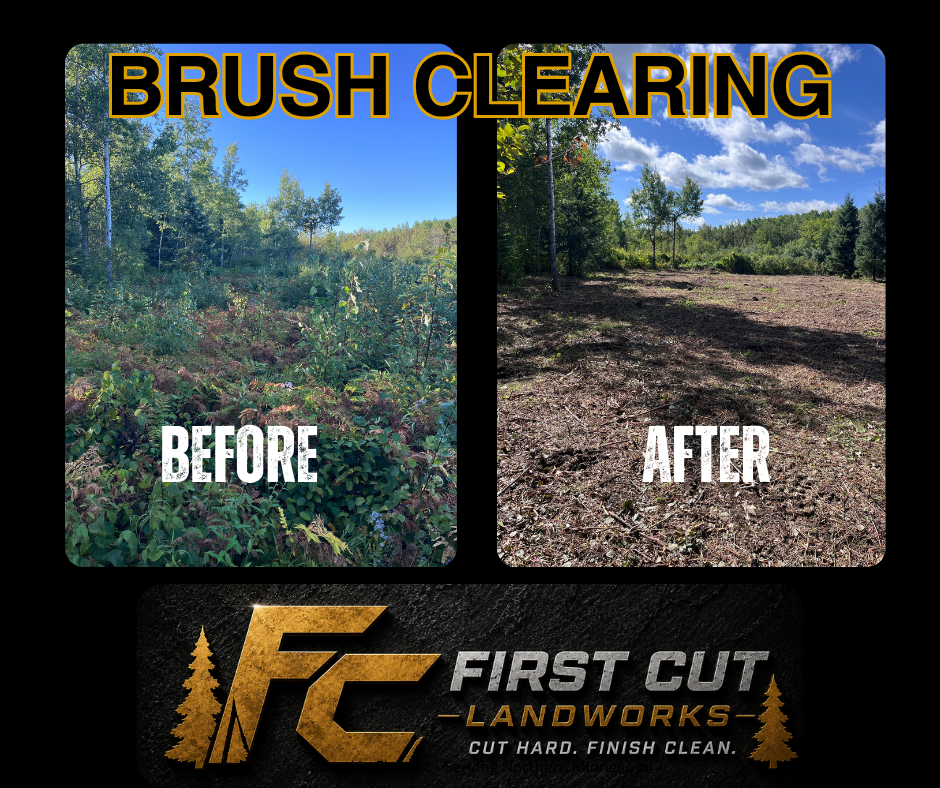 Brush clearing before-and-after comparison with forested area transformed to open land, First Cut Landworks logo below