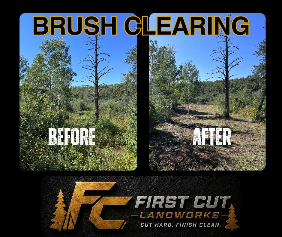 Brush clearing before-and-after woodland scene with First Cut Landworks logo