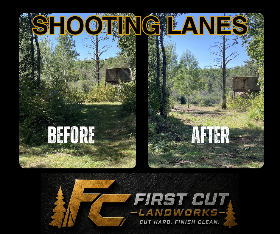 Before-and-after yard clearing with trees and a small shed; “Shooting Lanes” and First Cut Landworks logo.