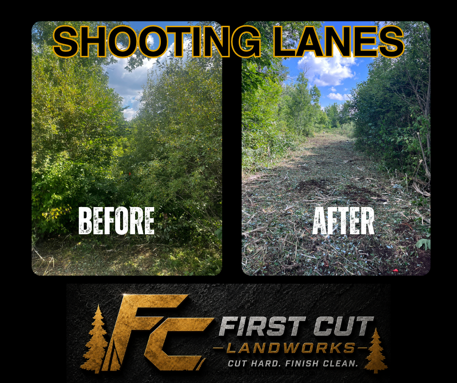 Before-and-after forest shooting lanes: overgrown green path on left, cleared trail on right, First Cut Landworks logo.