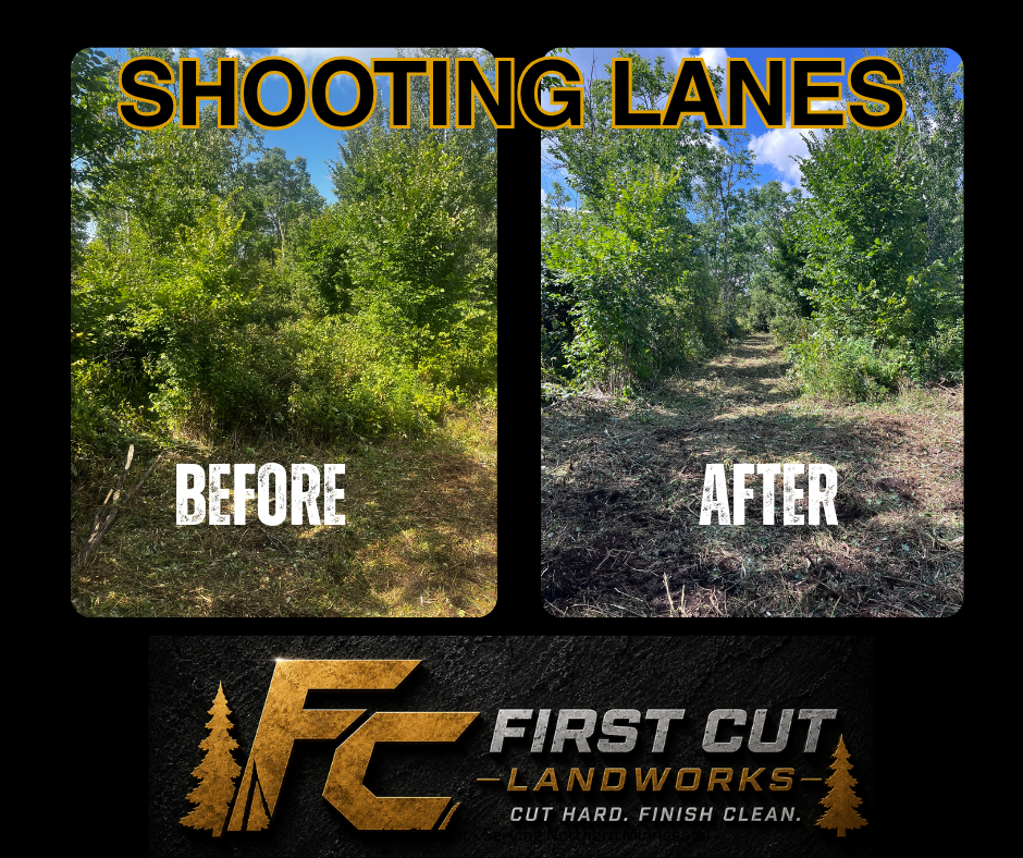 Before-and-after wooded shooting lanes clearing, with First Cut Landworks logo and branding.