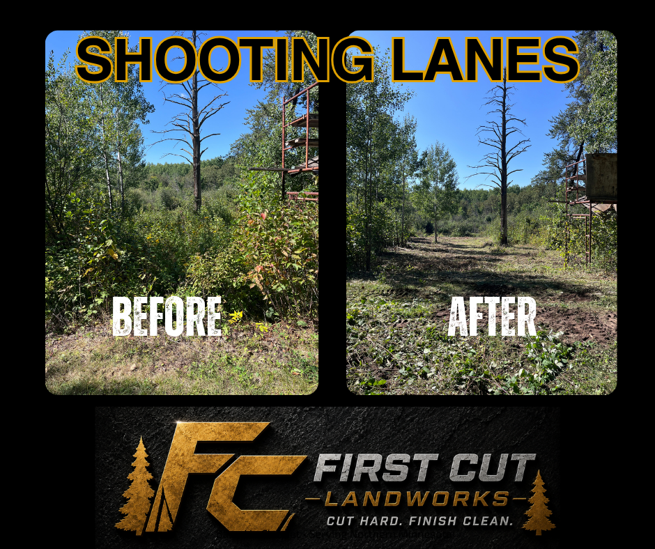 Before-and-after forest clearing for shooting lanes, with “First Cut Landworks” logo and text.