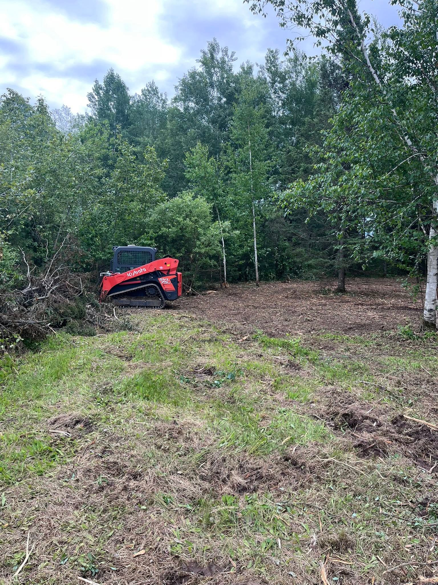 Red skid-steer loader in a wooded clearing with freshly cleared ground and trees in the background