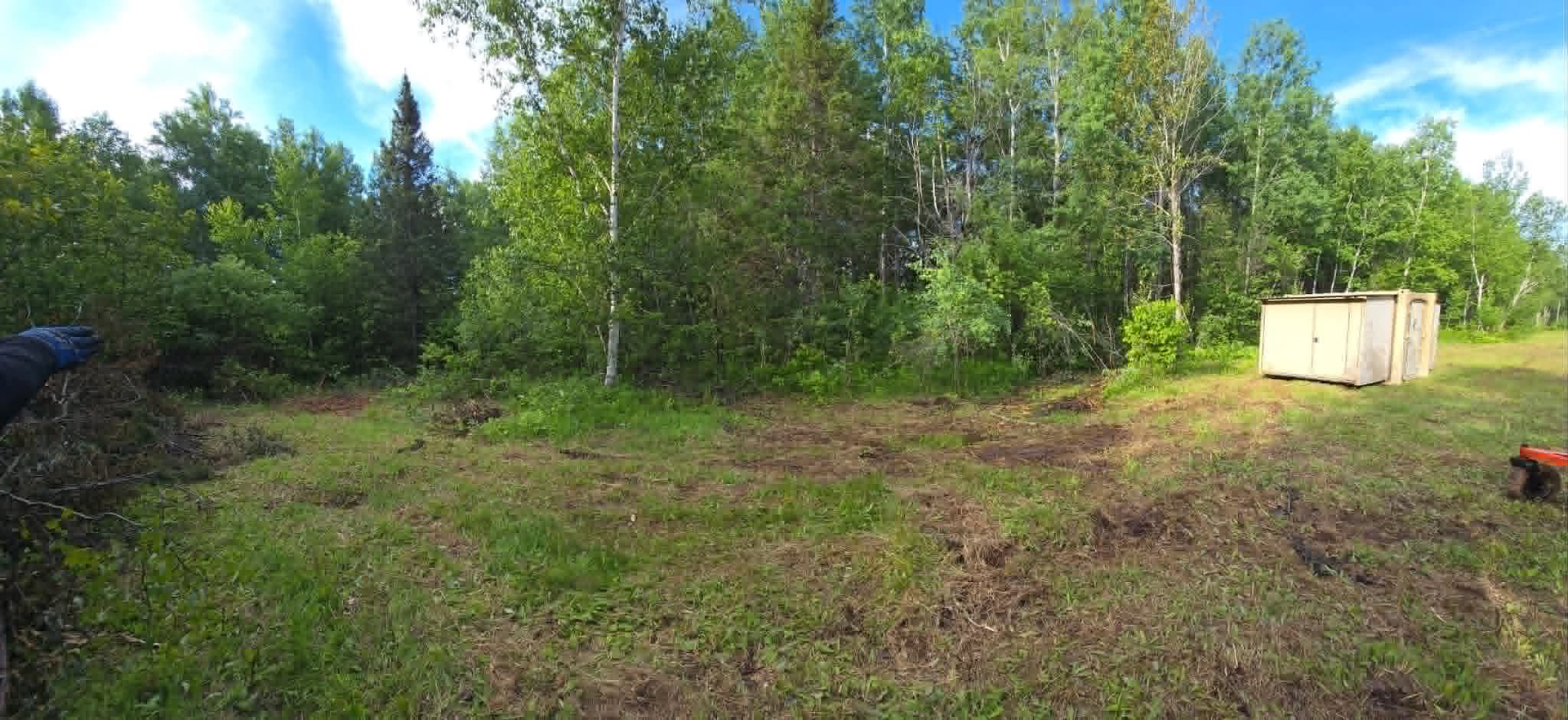 Grassy clearing bordered by trees, with a white shed on the right under a bright sky.