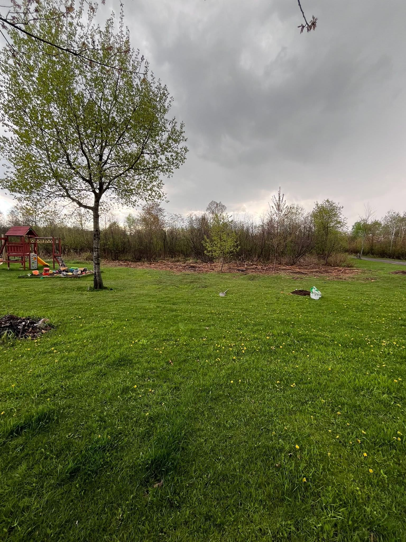 Grassy yard with a lone tree, red playground equipment, and dark storm clouds overhead.