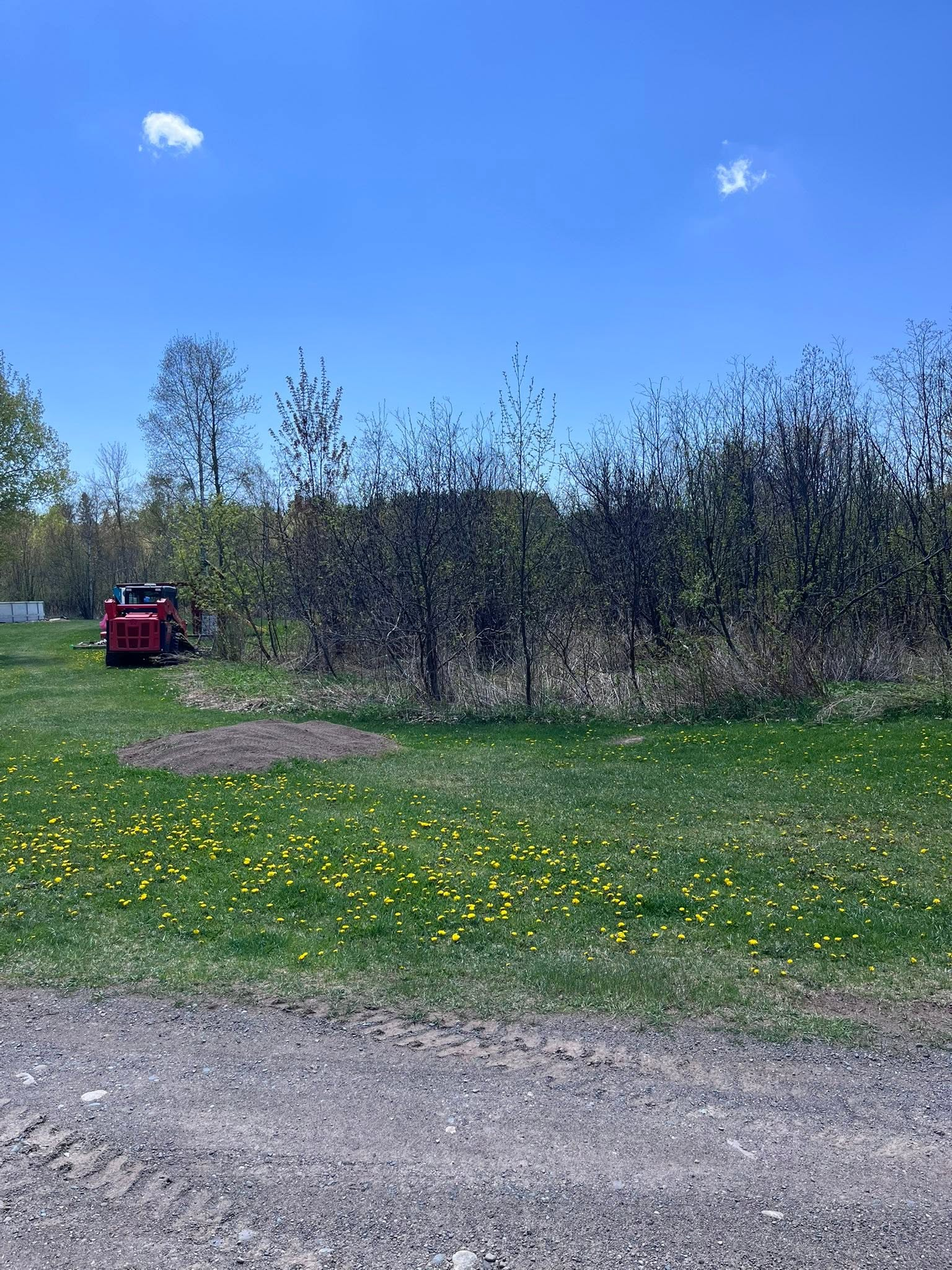 Grassy field with yellow wildflowers, leafing trees, blue sky, and a red vehicle near the left edge