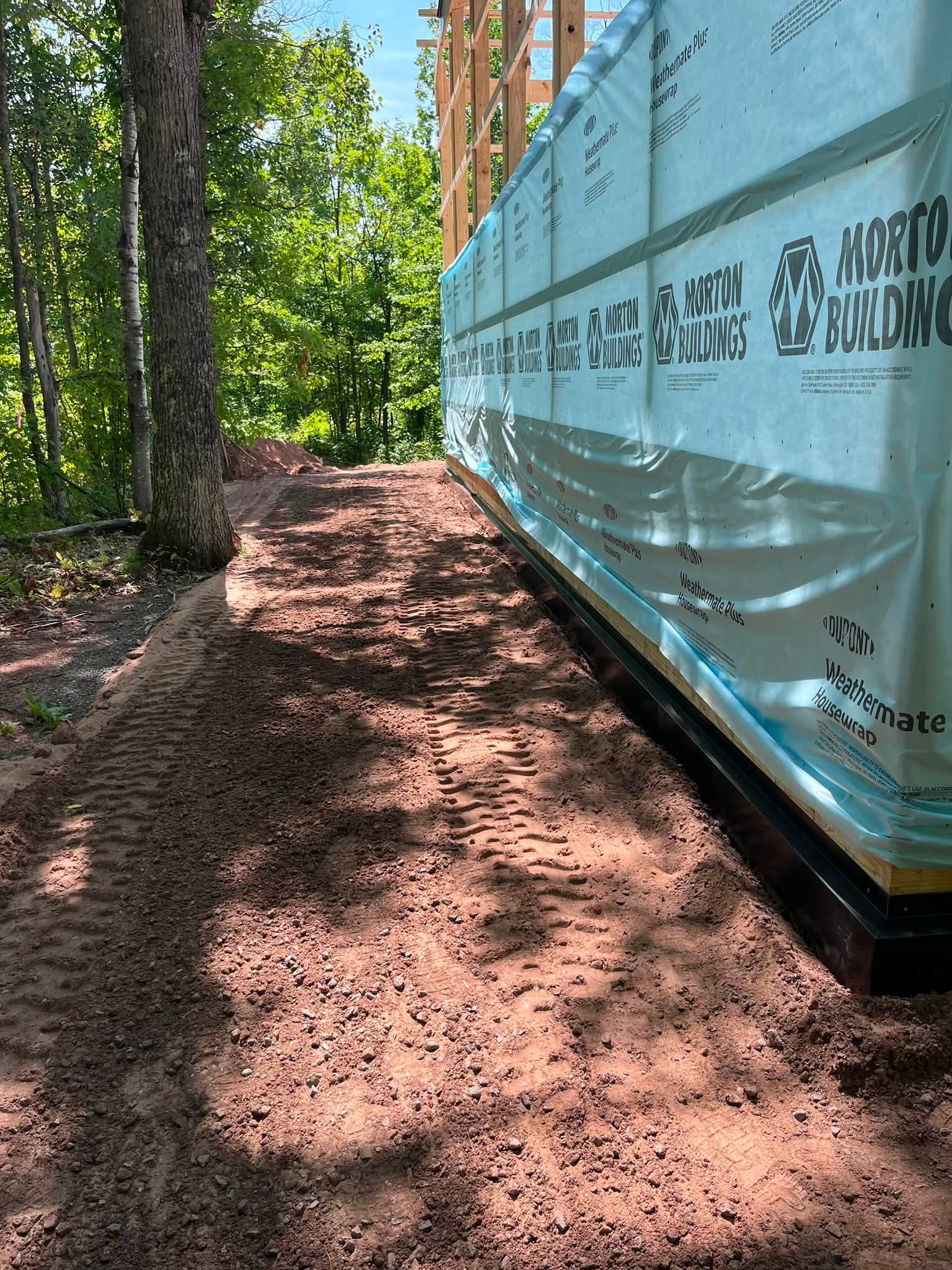 Forest trail beside a turquoise-sided tiny house under construction