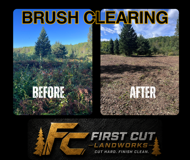 Brush clearing before-and-after forest scene with First Cut Landworks logo