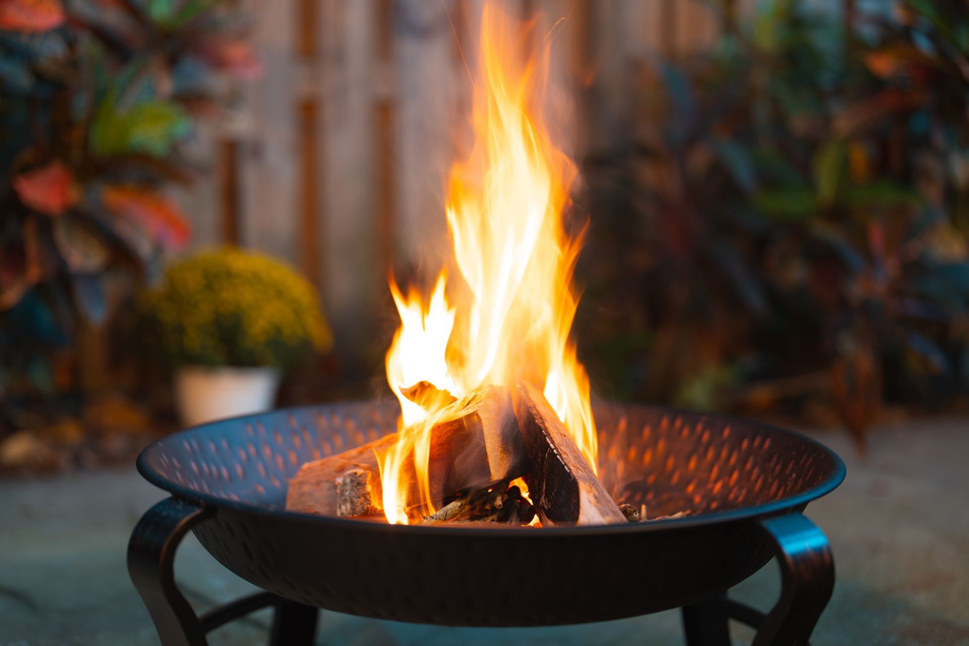 Fire burning in a metal fire pit with logs, set in an outdoor backyard setting. Fire burning in a metal fire pit with logs, set in an outdoor backyard setting.