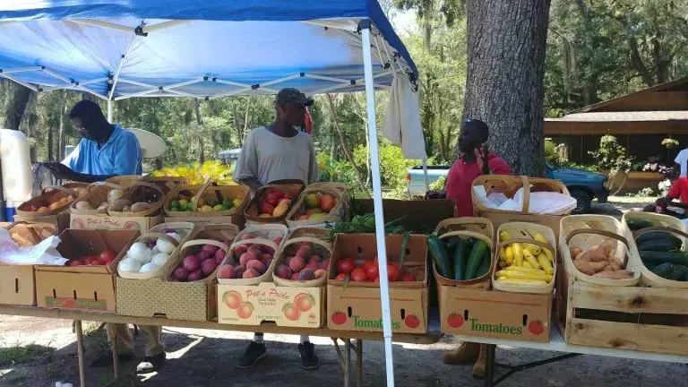 Farmers market with produce displayed on tables under a blue canopy. People at the stands.