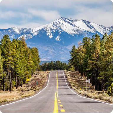 Empty road leading toward snow-capped mountains, flanked by green trees under a partly cloudy sky