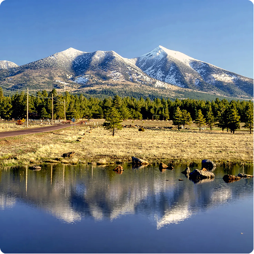 Snow-capped mountain reflected in a calm lake, with a pine forest and grassy shoreline in the foreground.