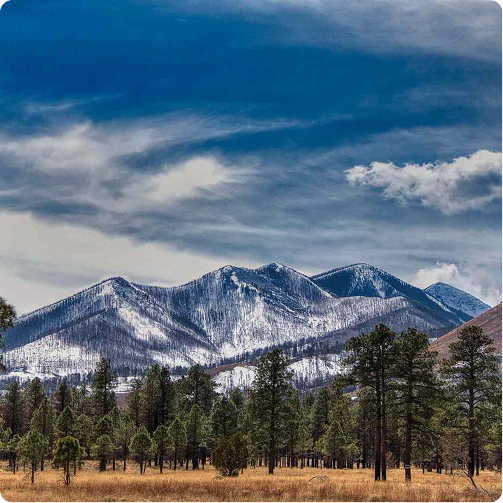 Snowy mountain range under a blue sky with wispy clouds, framed by pine trees and a grassy foreground.