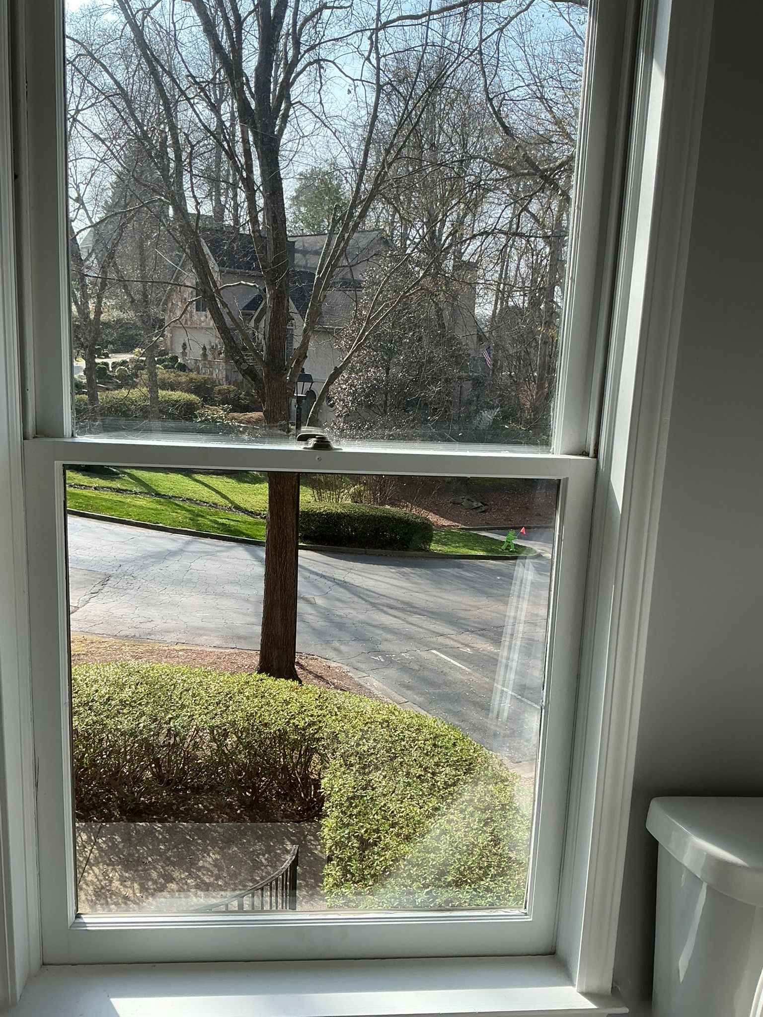 View through a window of a tree-lined driveway and green lawn on a sunny day