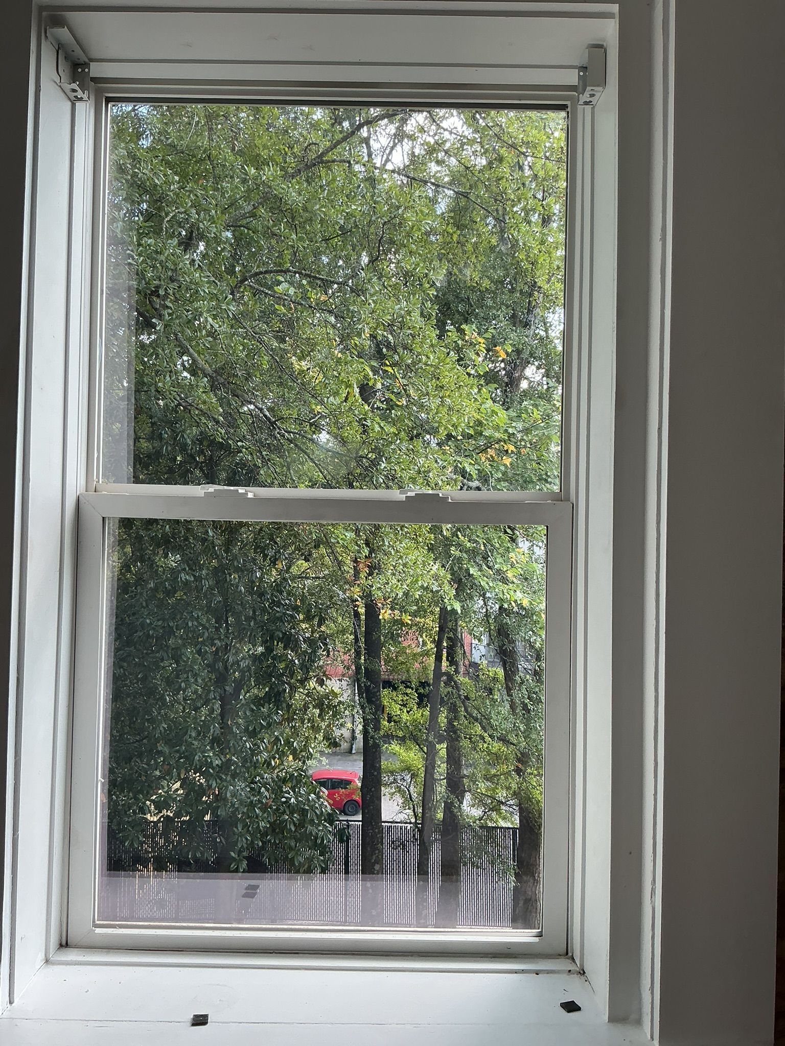 Open white window looking out on leafy green trees and a hint of red outside