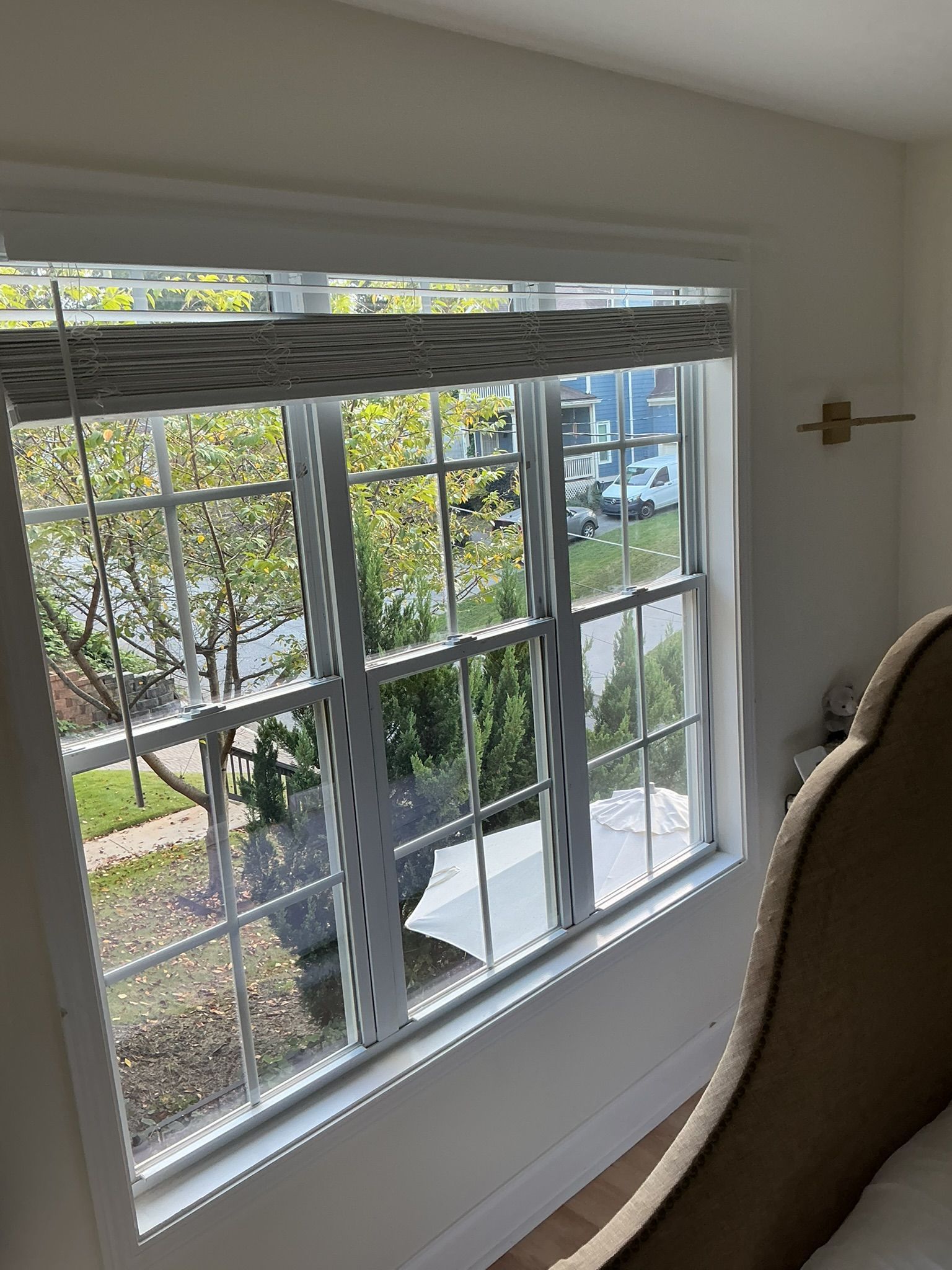 View through a white-framed window with tree-lined street and parked cars outside