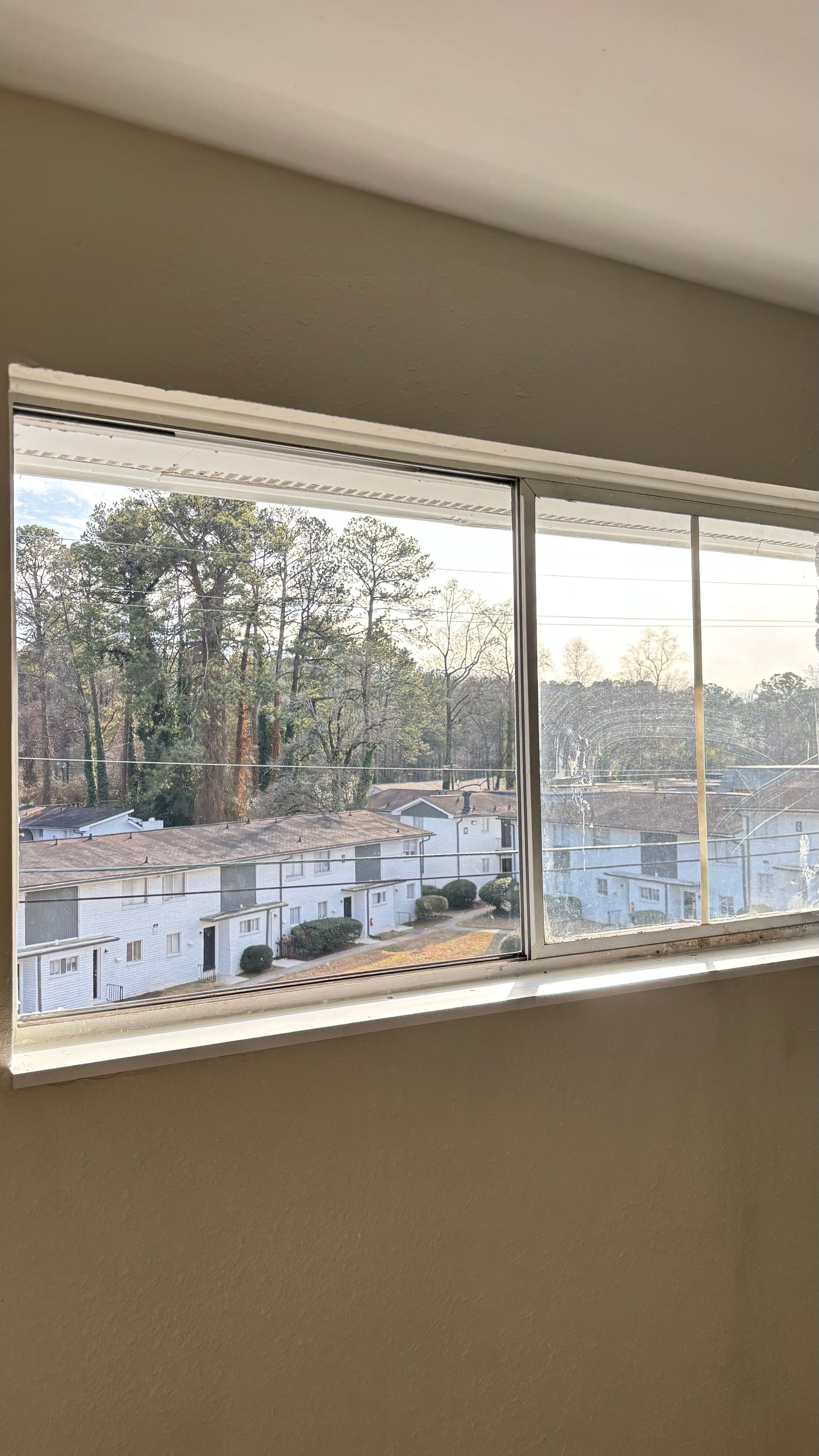 View through a window of snowy rooftops, trees, and a pale sky at sunset.