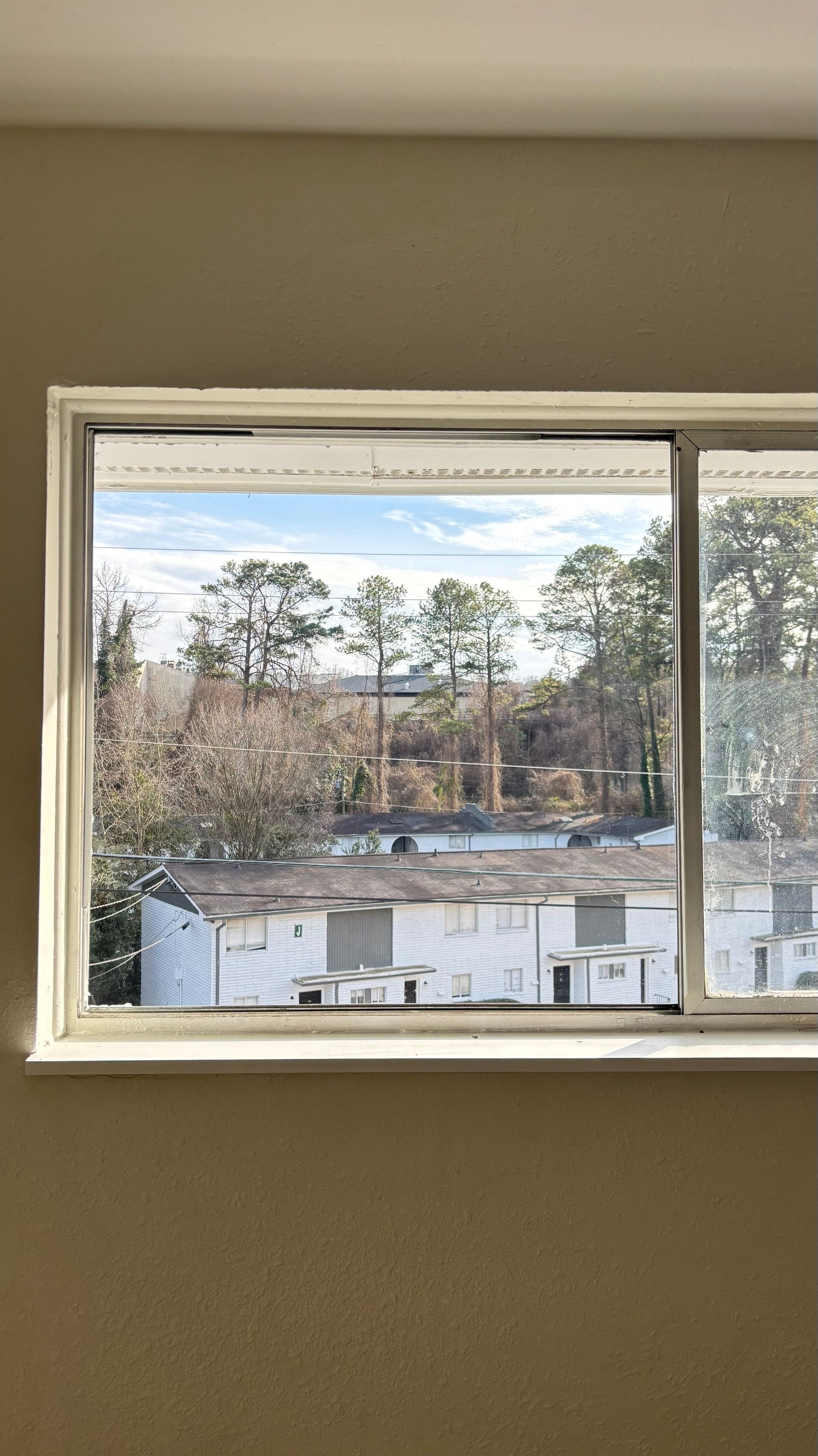 View through a window of trees and rooftops outside a beige room