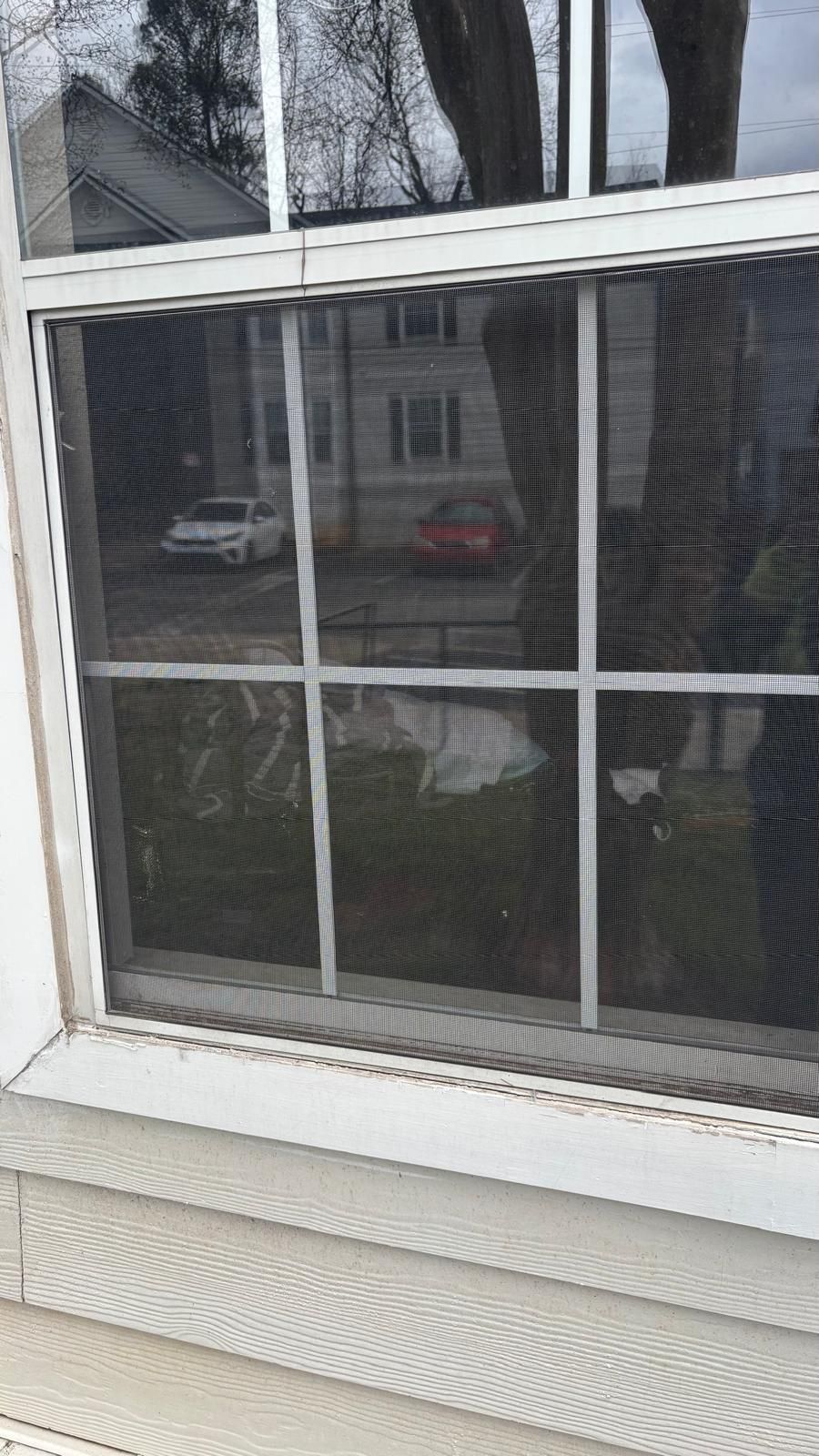 Window with white trim reflecting houses and trees outside, with a red car visible in the reflection