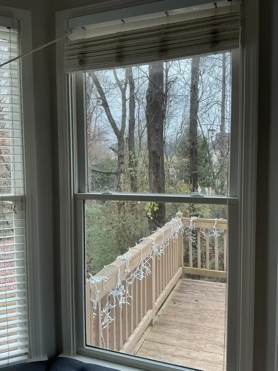 View through a window to a wooden deck and railing with bare trees outside in daylight