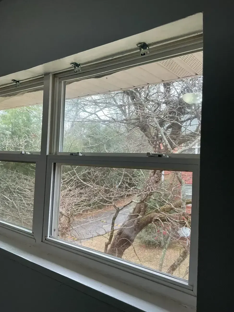 Bedroom window with white blinds open to a rainy yard and bare trees outside