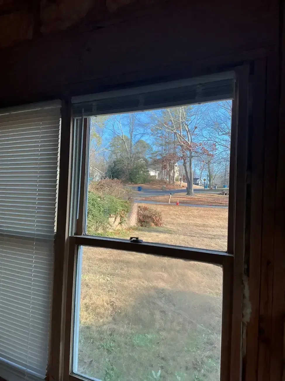 View through a window from a dim room to a sunny yard with trees and dry grass