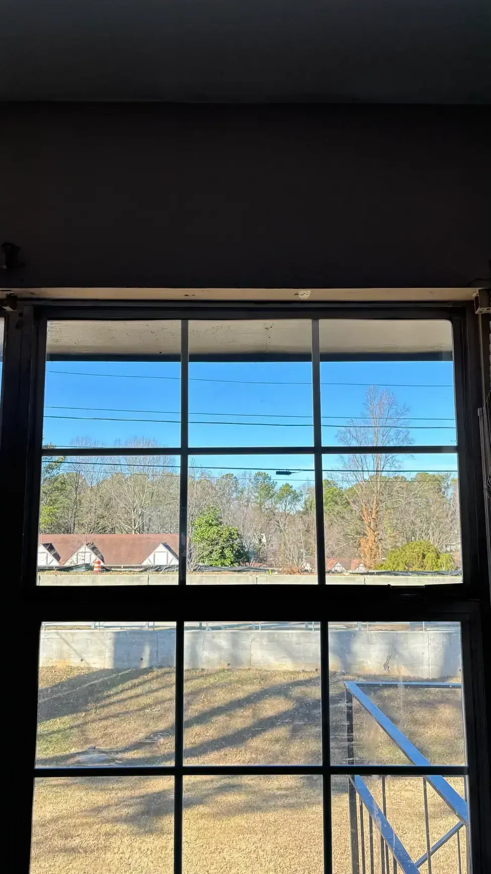 View through a window with black grid panes to a sunny yard, trees, and rooftops under a blue sky.