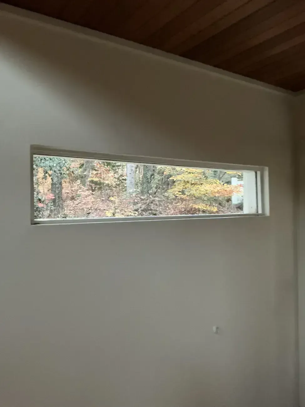 Empty room with a narrow horizontal window showing trees outside and a wood-paneled ceiling.