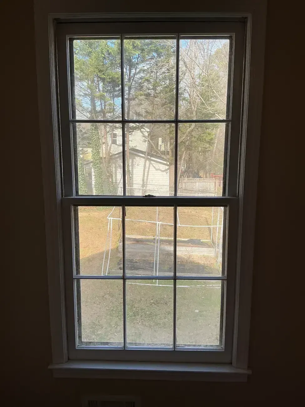 View through a window with trees and a wooden fence outside