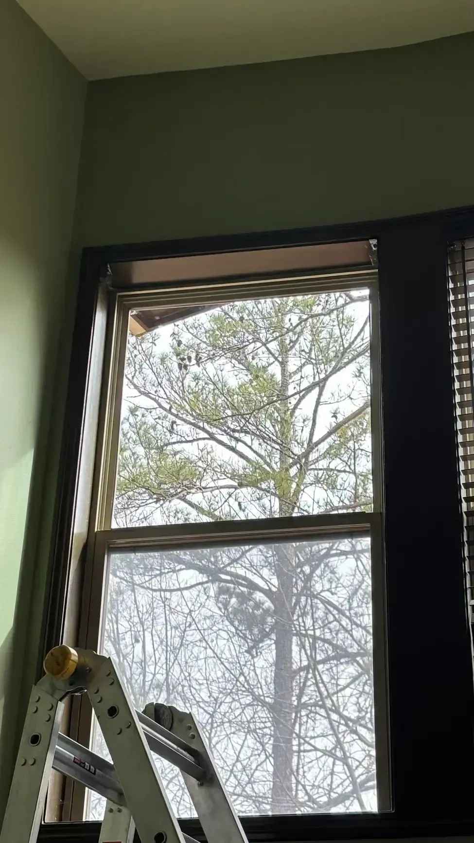 Open window with trees outside and a ladder in the lower left corner