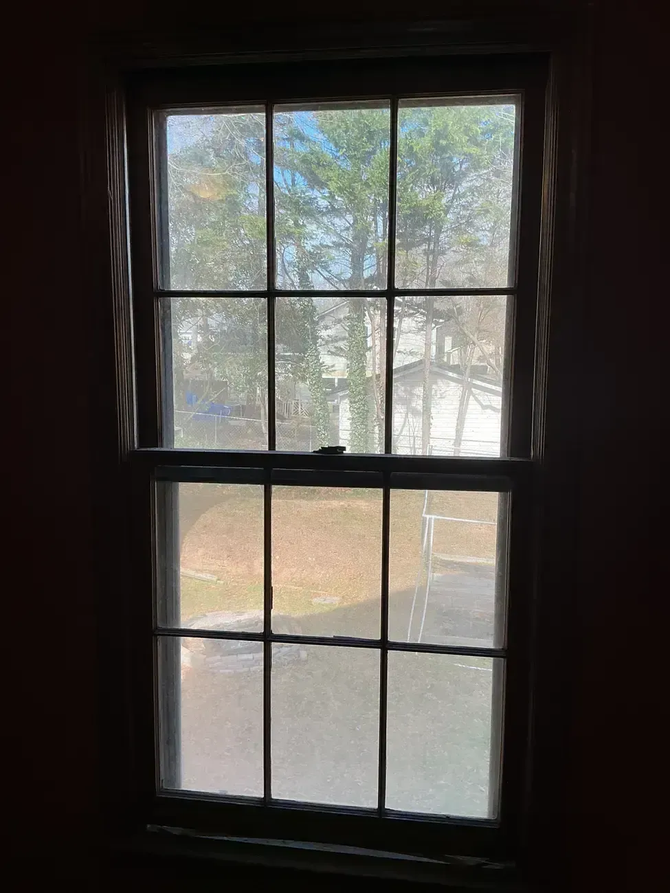 Dim window with black grid panes overlooking a sunlit yard and trees