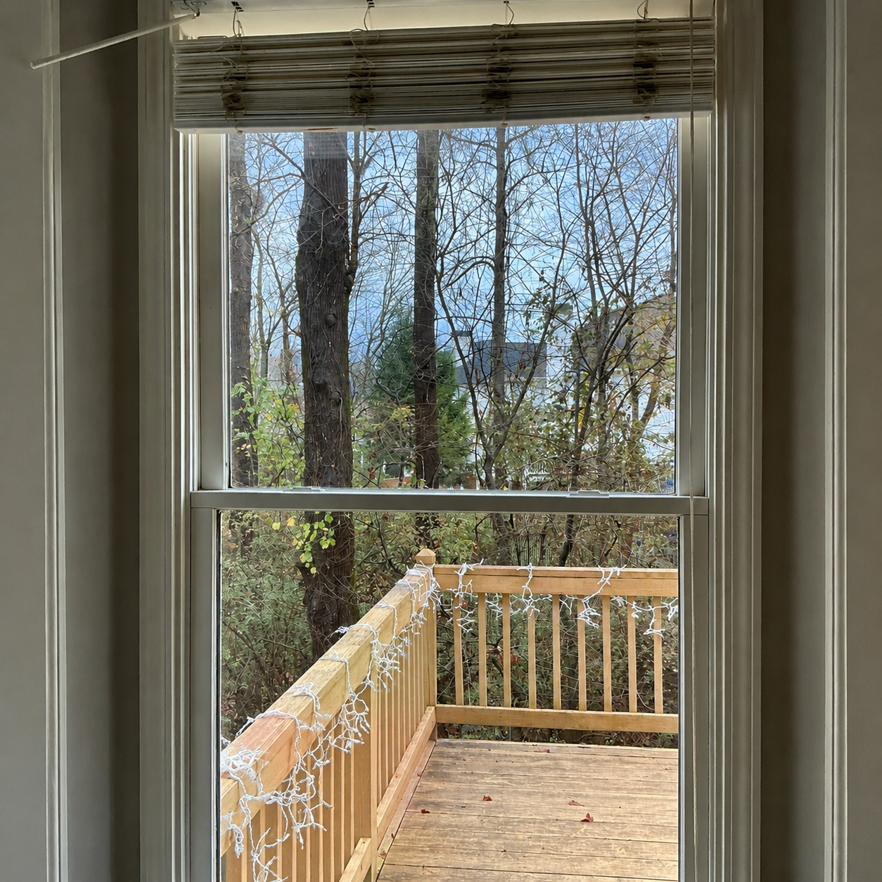 View through a window to a sunny deck with white railing and leafless trees beyond