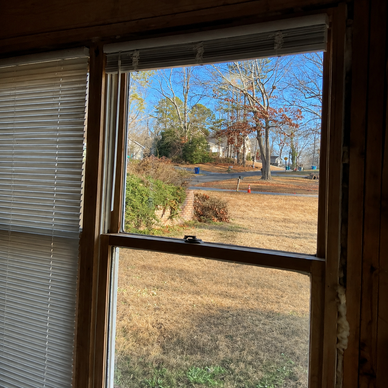 View through a window to a sunny autumn yard with trees and dry grass
