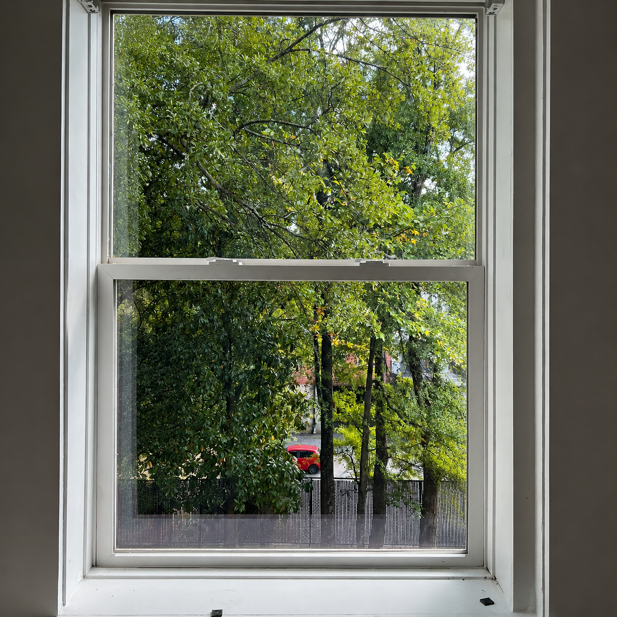 White-framed window looking out onto green trees and a fence in daylight.