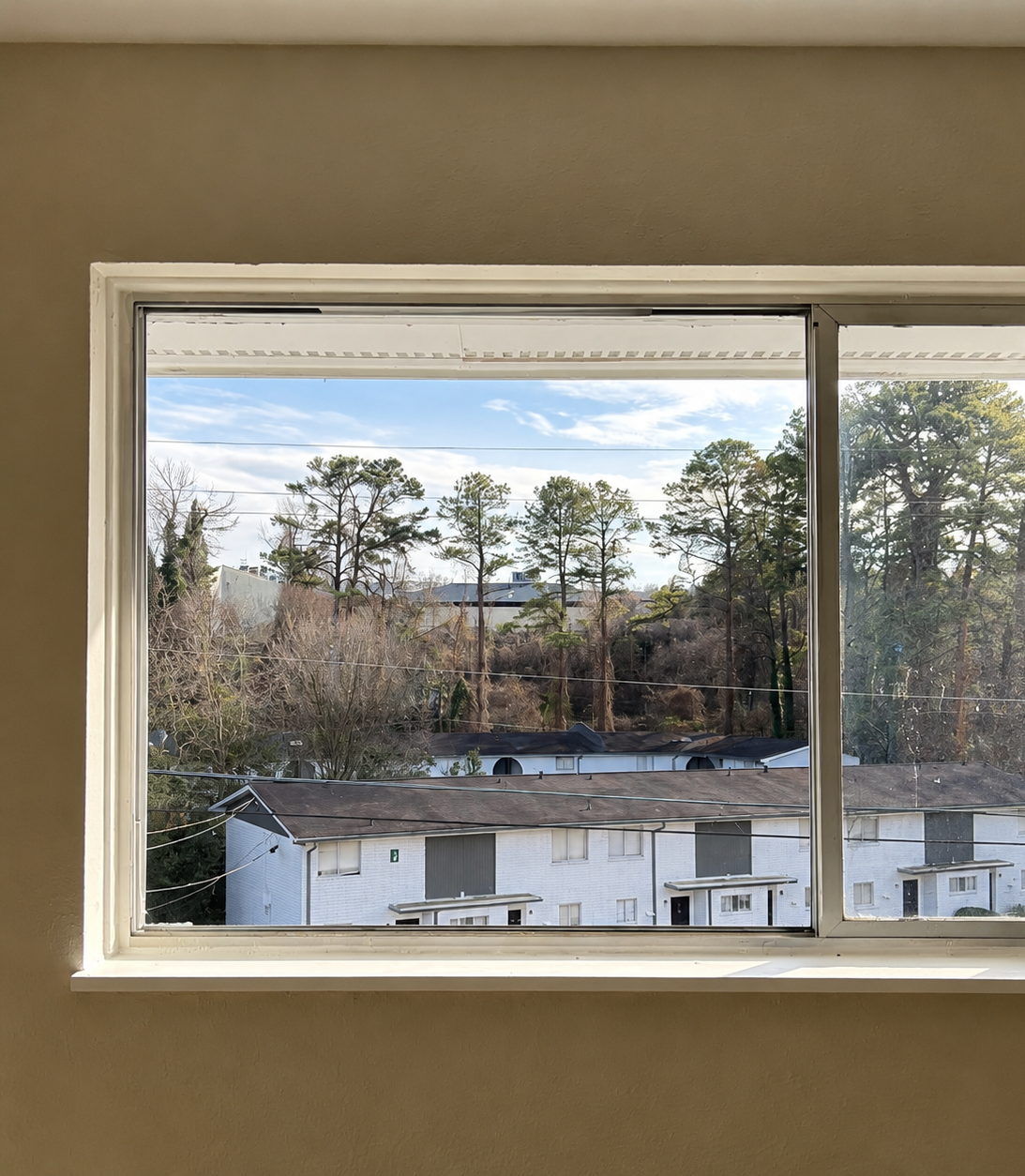 Window view of trees and rooftops on a cloudy day