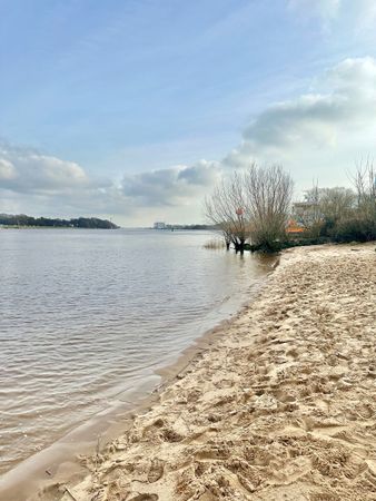 Ein Sandstrand neben einem Gewässer an einem sonnigen Tag.