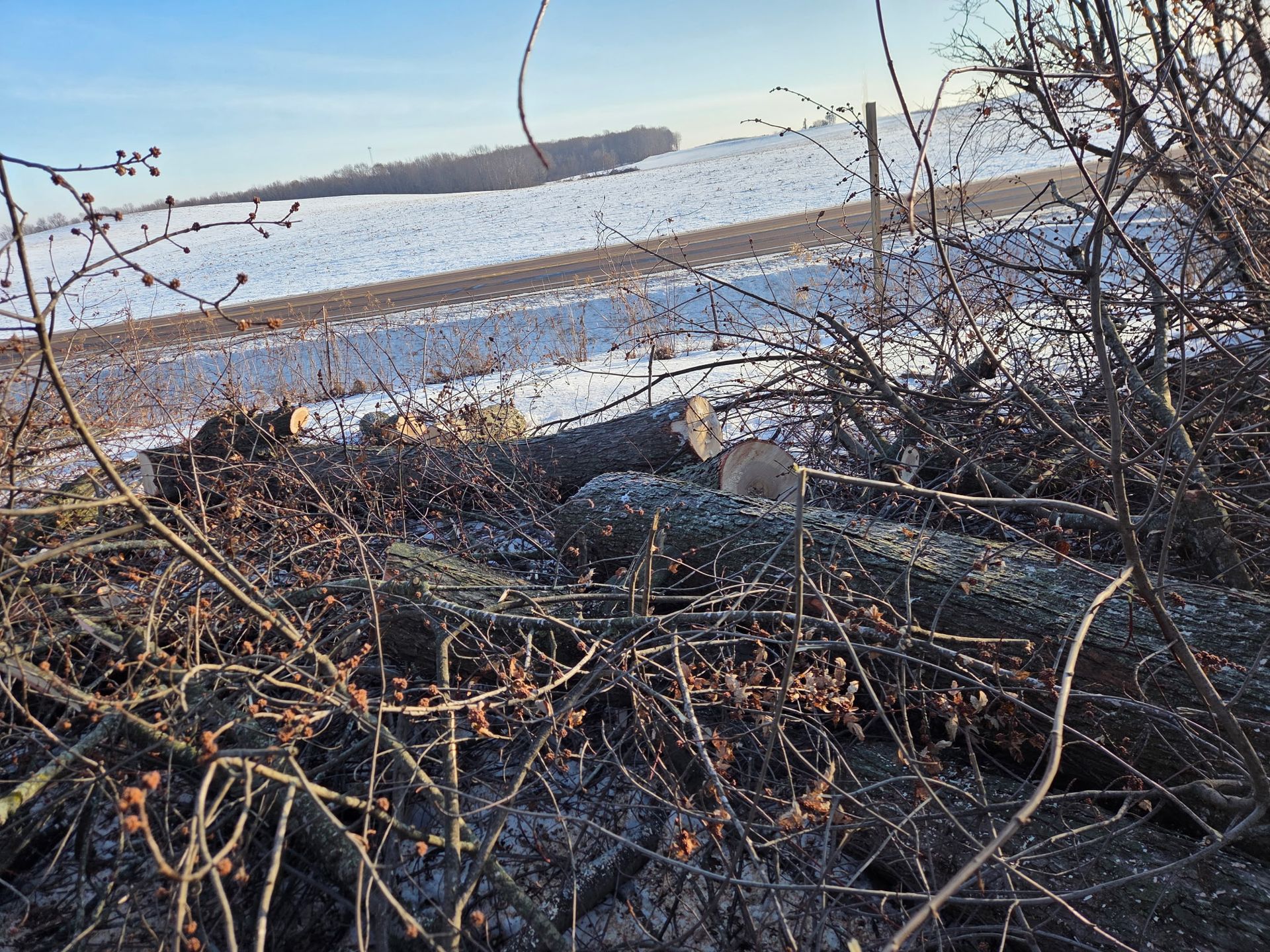 Before and after wooded lot clearing in Chippewa County Wisconsin
