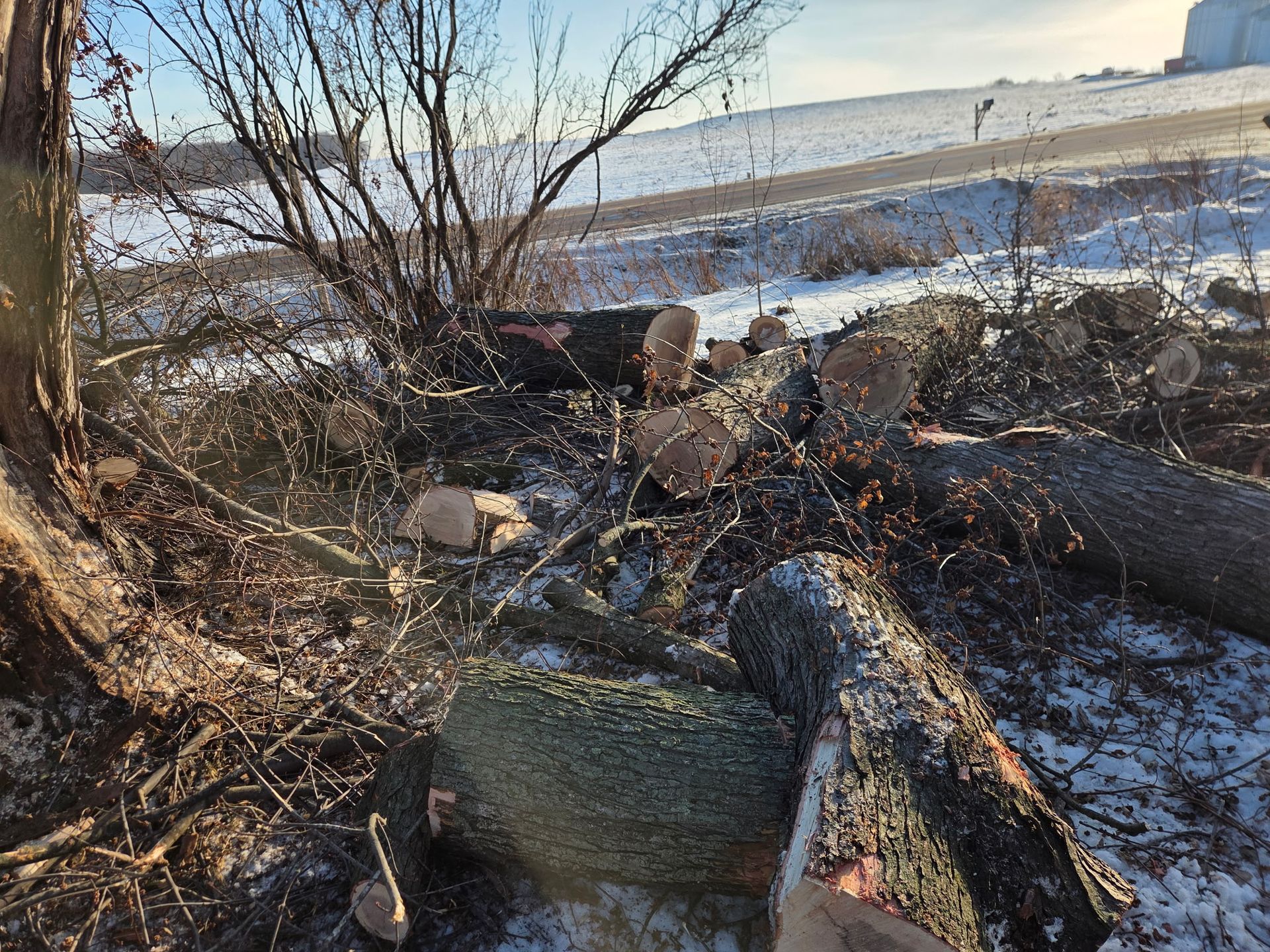 Land clearing project showing felled trees and pushed brush on rural Wisconsin acreage with machinery at treeline