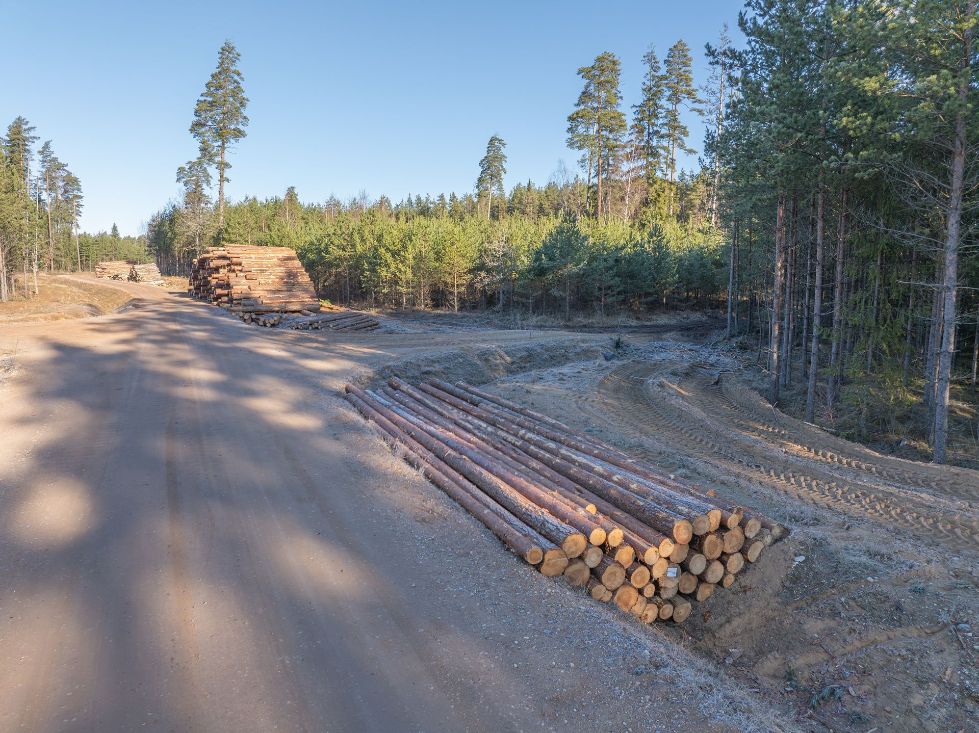 Logging road with stacked timber beside a forest under clear sky