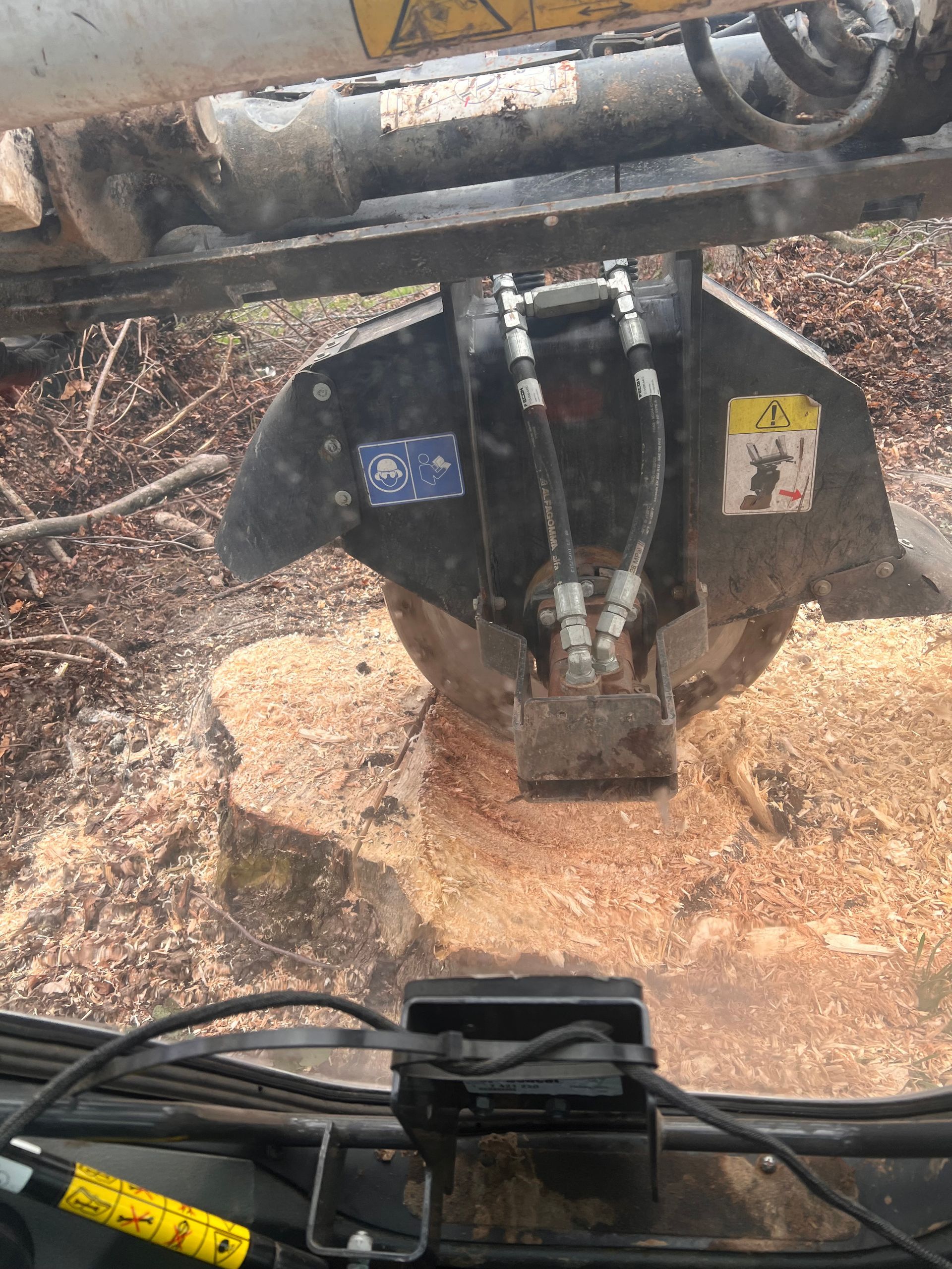 Stump grinding in active operation on rural Wisconsin property Eau Claire County