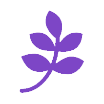 leaf icon