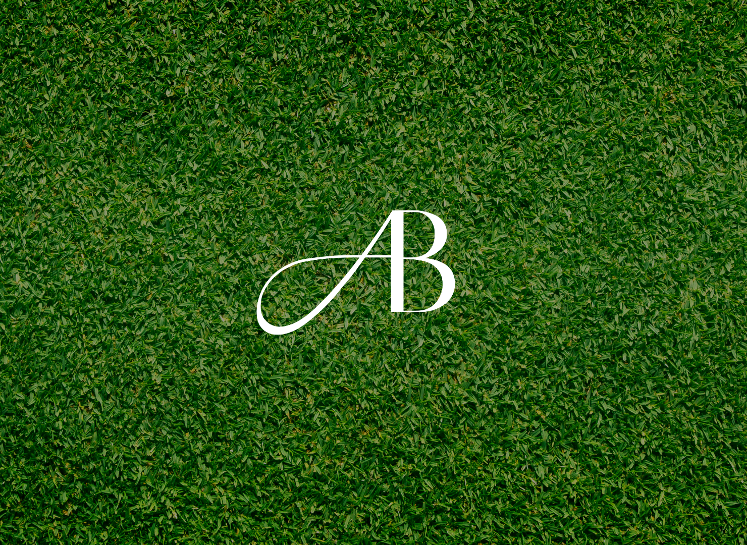 The letter ab for the brand A.Birdie is written in white on a green field.