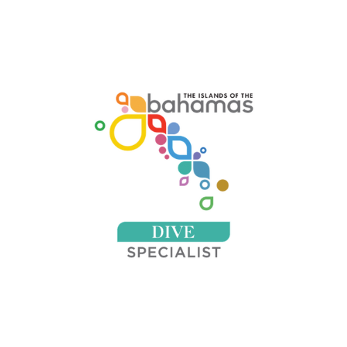 Logo for the Bahamas with colorful abstract shapes and 