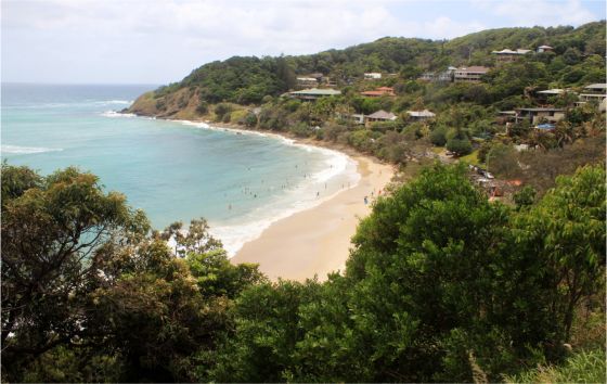 A view of a beach from a hill with trees in the foreground