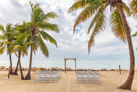 A beach with palm trees and chairs set up for a wedding ceremony.