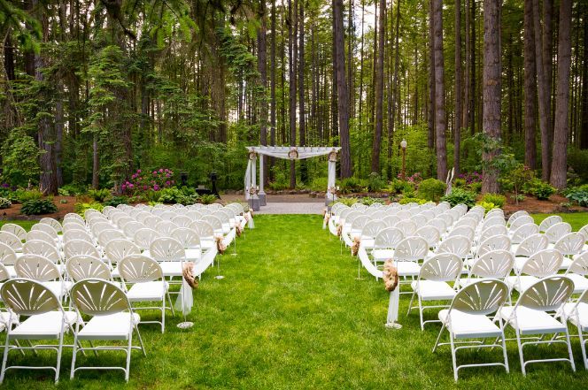 A wedding ceremony is taking place in the middle of a forest.