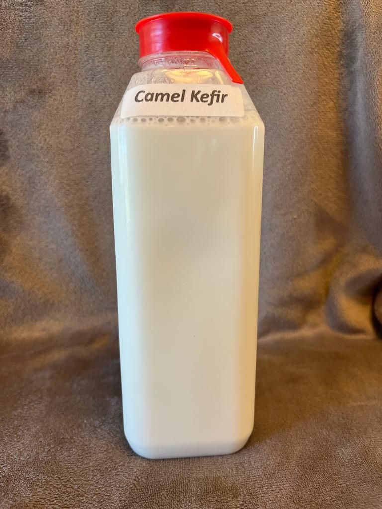 Red-capped white bottle labeled “Camel Kefir” on a brown fabric background